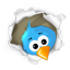 Twitter Link