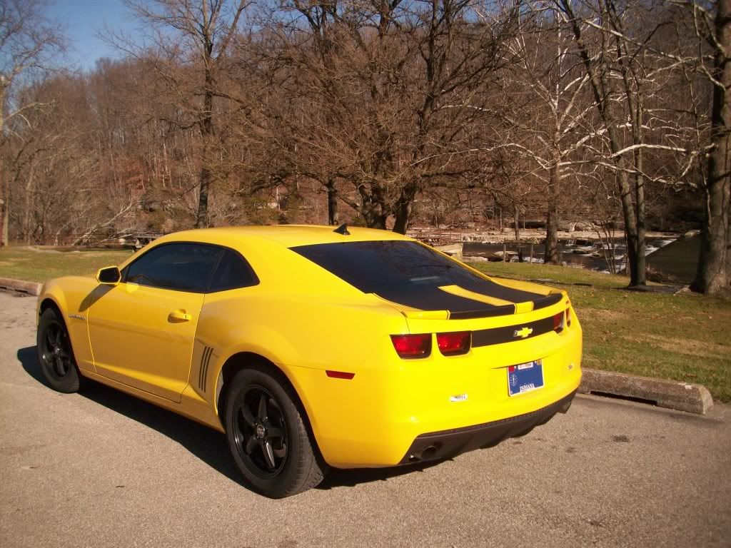 Yellow Black Camaro