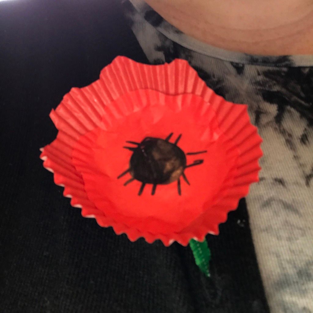 ANZAC Ted Belinda Lansberry ANZAC Day Craft Patty Pan Poppies Cupcake Liner Poppies ANZAC Day Picture Book ANZAC Day Toddler
