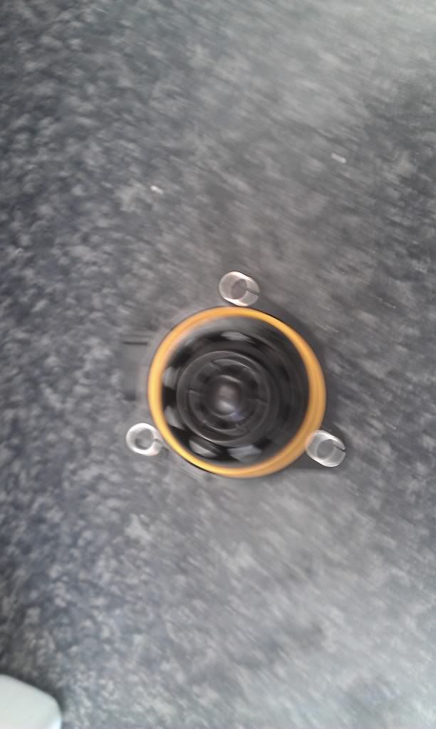IMAG0159.jpg