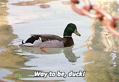  photo tumblr_mm6guqr2YW1r3yxp8o1_250_zpsb147c08b.gif