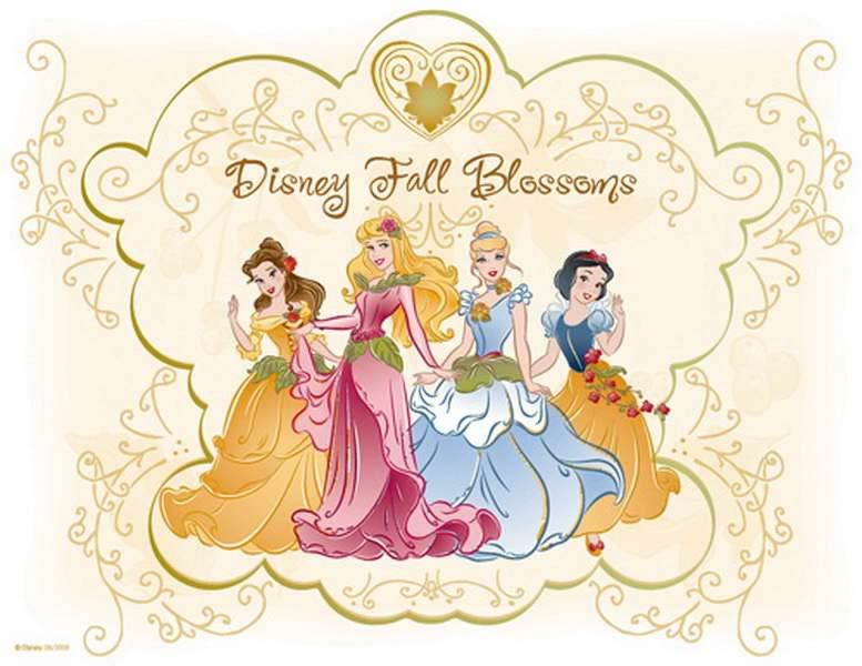 0812e30eda4abd9ac70190d1db8901b05g.jpg Princesas Disney image by cecipe