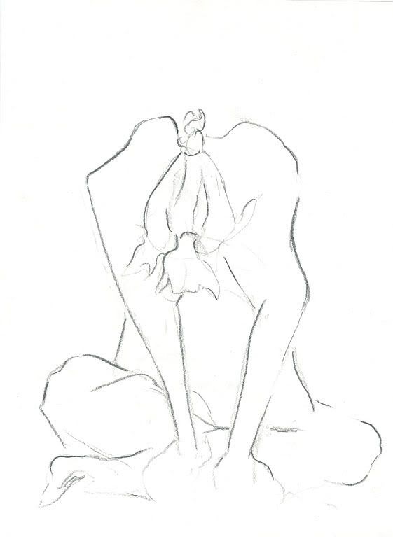 arm0028.jpg