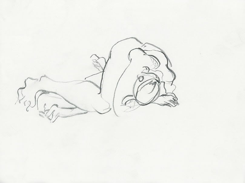 arm0049.jpg
