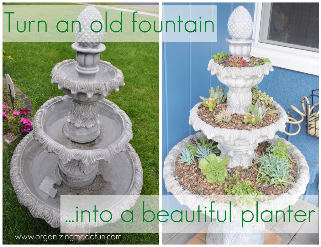 fountain succulents planter
