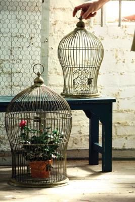 Antique+wire+bird+cage