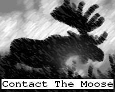 Contact The Moose
