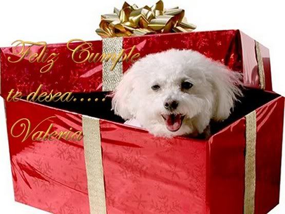 perrito-caja-navidad-regaloval.jpg picture by FRANCISCOALEX