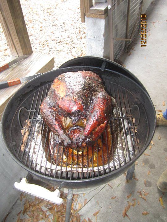 Bird on grill Bird on grill
