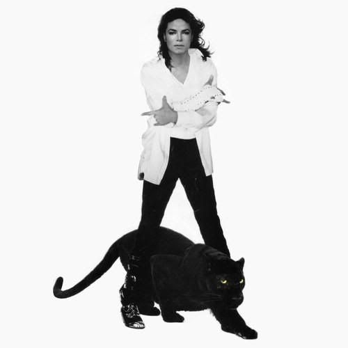 BlackOrWhitePromoShots2.jpg