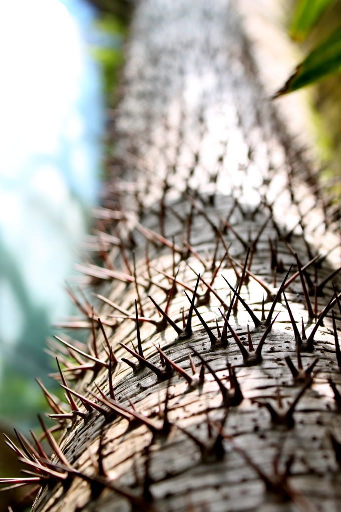 IMAGE: http://i819.photobucket.com/albums/zz117/rh5385/DPP_0008.jpg