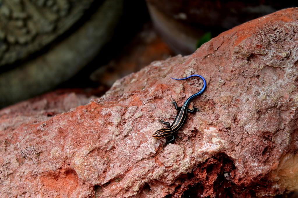 IMAGE: http://i819.photobucket.com/albums/zz117/rh5385/DPP_0010.jpg