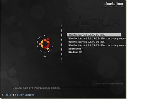 bootlinux.jpg picture by aliaero