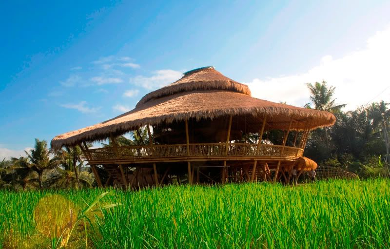 Green-School-in-Bali-kitchen.jpg 