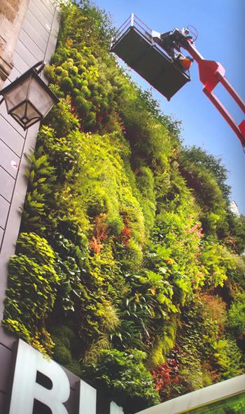 zkt-vert-wall5.jpg