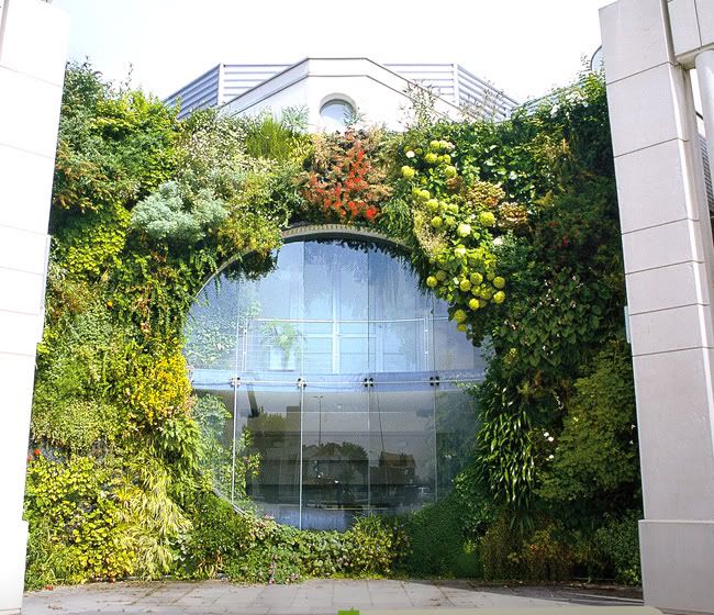 zkt-vert-wall5.jpg
