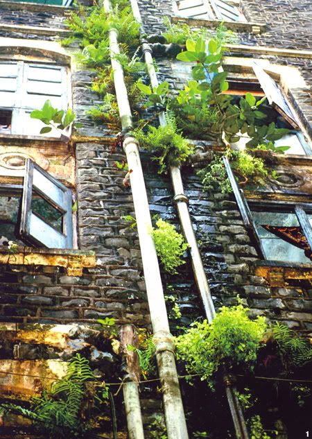 zkt-vert-wall5.jpg