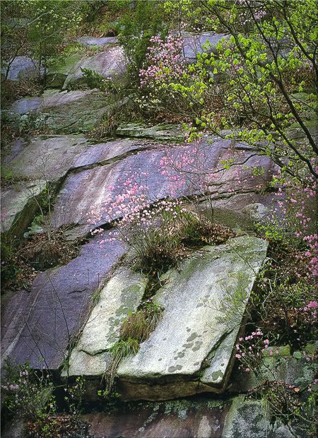 zkt-vert-wall5.jpg