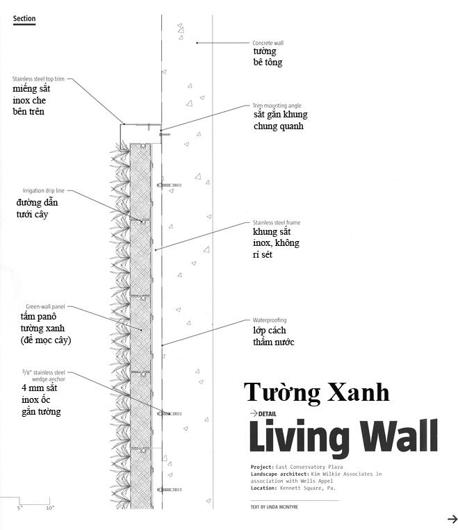 ztd-tuongxanh3.jpg 